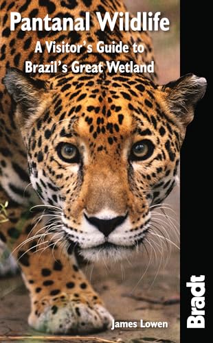 9781841623054: Pantanal Wildlife: A Visitor's Guide To Brazil's Great Wetland (Bradt Wildlife Explorer)