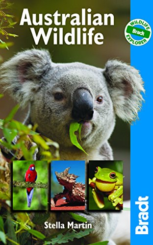 Stock image for Australian Wildlife: A Visitor's Guide (Bradt Wildlife Explorer) for sale by SecondSale