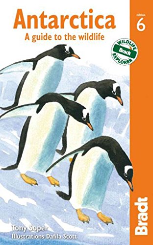 Stock image for Antarctica: A Guide To The Wildlife (Bradt Guides) for sale by Books Unplugged