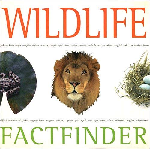 9781841640389: Wildlife Factfinder (Factfinders)