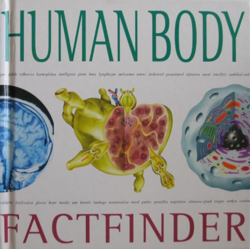 Beispielbild fr Human Body (Factfinders) zum Verkauf von WorldofBooks