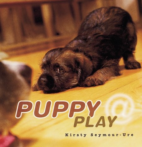 Stock image for Puppy @ Play for sale by WorldofBooks