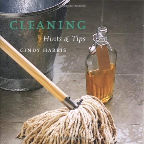 9781841728483: Cleaning Hints and Tips