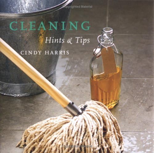 Stock image for Cleaning: Hints & Tips for sale by Wonder Book