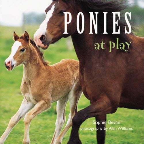 Beispielbild fr Ponies at Play zum Verkauf von Reuseabook