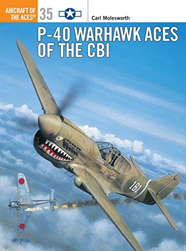 Imagen de archivo de P-40 Warhawk Aces of the CBI (Osprey Aircraft of the Aces No 35) a la venta por HPB-Red