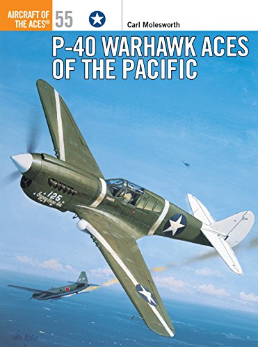 Stock image for P-40 Warhawk Aces of the Pacific (Aircraft of the Aces, 55) for sale by Goodbookscafe
