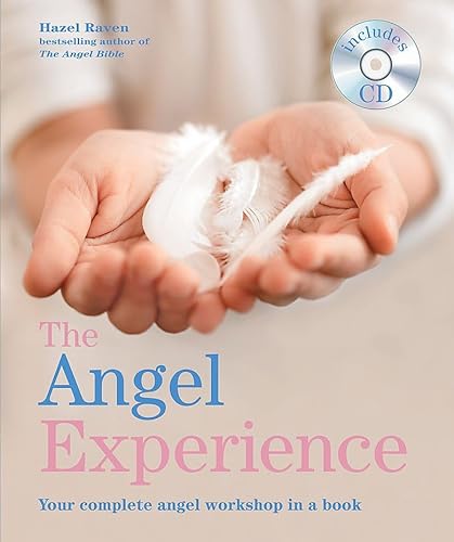 9781841813851: The Angel Experience: Your complete angel workshop in a book. Includes an exclusive CD of meditations and music (Godsfield Experience)