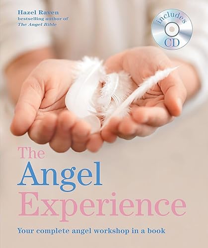 Stock image for The Angel Experience: Your Complete Angel Workshop in a Book for sale by Goldstone Books