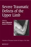 Stock image for Severe Traumatic Defects of the Upper Limb: Published in association with the Federation of European Societies for Surgery of the Hand for sale by medimops