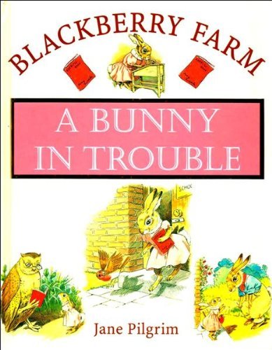 Stock image for Blackberry Farm: a Bunny in Trouble (Blackberry Farm) for sale by SecondSale