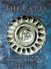 Beispielbild fr The Celts : Prehistory to Present Day zum Verkauf von Better World Books