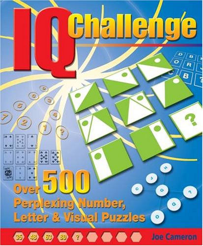 9781841938172: IQ Challenge