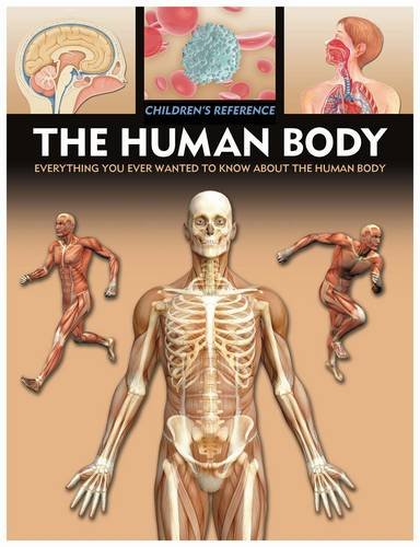 Beispielbild fr The Human Body zum Verkauf von Better World Books