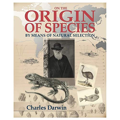 Imagen de archivo de On the Origin of Species a la venta por RIVERLEE BOOKS