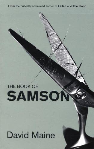 Imagen de archivo de The Book of Samson a la venta por Merandja Books