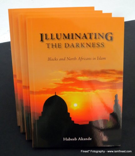 Beispielbild fr Illuminating the Darkness: Blacks and North Africans in Islam zum Verkauf von Books From California