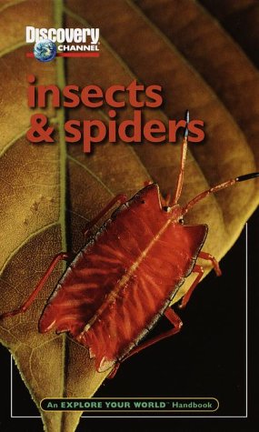 Beispielbild fr Explore Your World Handbook: Insects And Spiders zum Verkauf von AwesomeBooks