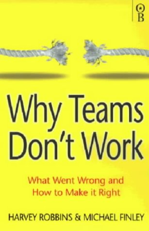 9781842030066: Why Teams Don't Work