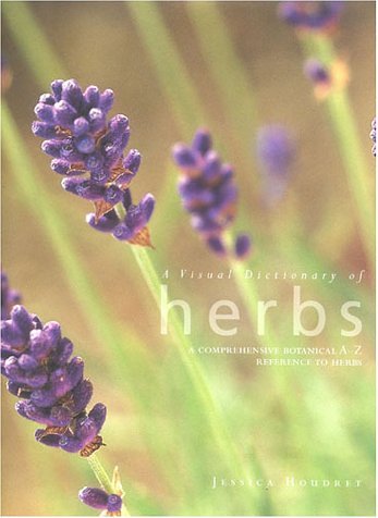 A Visual Dictionary Of Herbs A Comprehensive Botanical A