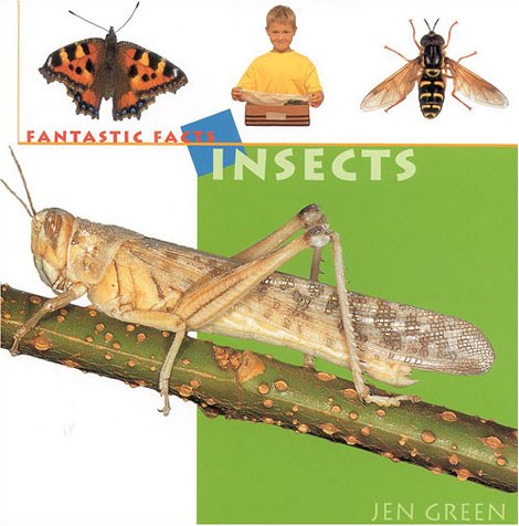 Insects (Fantastic Facts) (9781842150900) by Green, Jen