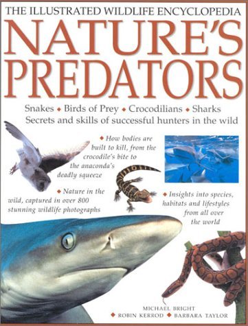 Stock image for Nature's Predators: Snakes, Birds of Prey, Crocodilians, Sharks--Secrets and Skills of Successful Hunters in the Wild for sale by ThriftBooks-Atlanta