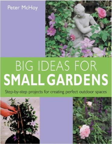 9781842155479: Big Ideas for Small Gardens: Step-by-step Projects for Creating Perfect Outdoor Spaces