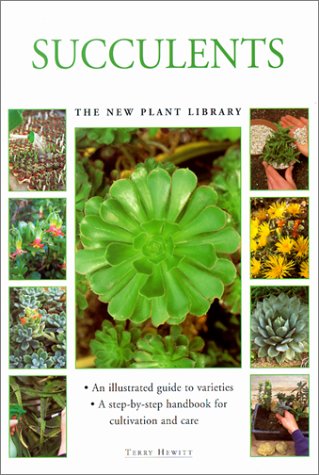 Beispielbild fr Succulents zum Verkauf von ThriftBooks-Atlanta