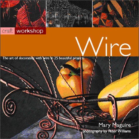 Imagen de archivo de Wire (Craft Workshop) a la venta por Half Price Books Inc.