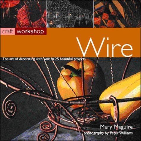 9781842155868: Wire (Craft Workshop)