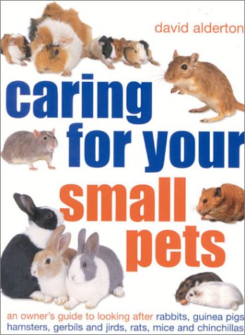 Stock image for Caring for Your Small Pets: An Owner's Guide to Looking after Rabbits, Guinea Pigs, Hamsters, Gerbils and Jirds, Rats, Mice and Chinchillas for sale by WorldofBooks