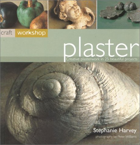 Stock image for Plaster for sale by Better World Books