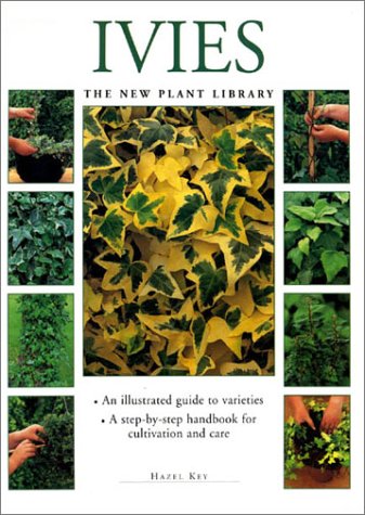 Stock image for Little Plant Library: Ivies for sale by Montclair Book Center