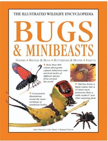 9781842157244: Bugs & Minibeasts (The illustrated wildlife encyclopedia)