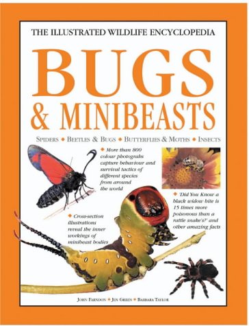 Stock image for Bugs and Minibeasts for sale by Better World Books Ltd