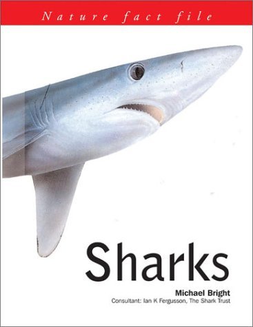 Imagen de archivo de Sharks: Nature Fact File Series a la venta por Hawking Books