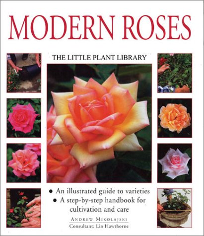 Stock image for Modern Roses: The Little Plant Library Series for sale by MusicMagpie