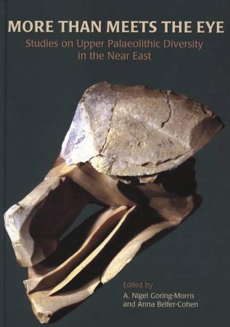 More than Meets the Eye: Studies on Upper Palaeolithic Diversity in the Near East