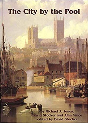 The City by the Pool: Assessing the Archaeology of the City of Lincoln (Lincoln Archaeology Studies) (9781842171073) by Stocker, D.; Vince, Alan G.