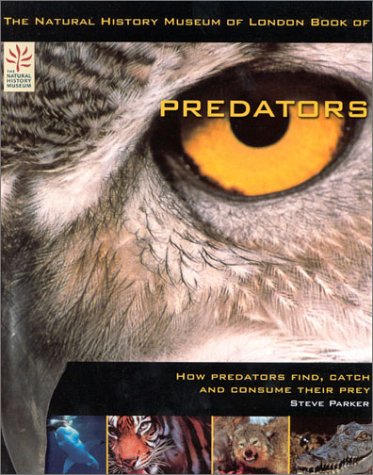 9781842224007: The Natural History Museum of London Book of Predators: How Predators Find, Catch and Consume Their Prey