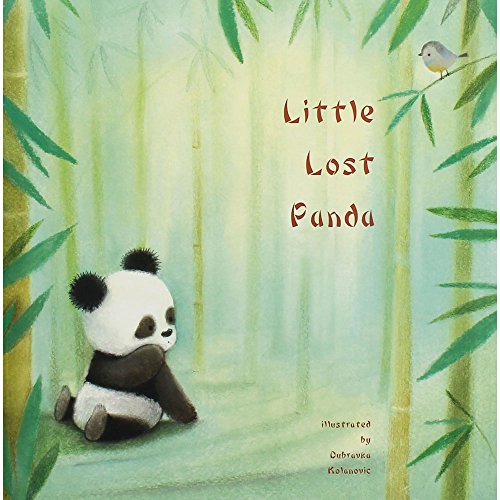 Beispielbild fr Little Lost Panda zum Verkauf von Revaluation Books