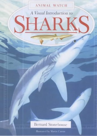 Beispielbild fr A Visual Introduction to Sharks zum Verkauf von Irish Booksellers