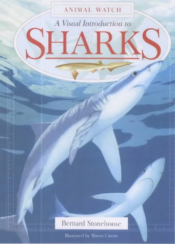 Stock image for A Visual Introduction to Sharks for sale by Irish Booksellers