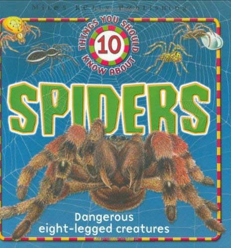 Stock image for 10 Things About Spiders (10 Things You Should Know Series) for sale by AwesomeBooks