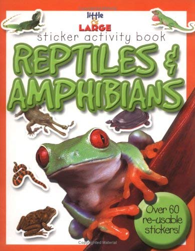 9781842362549: Reptiles and Amphibians (Little & Large)