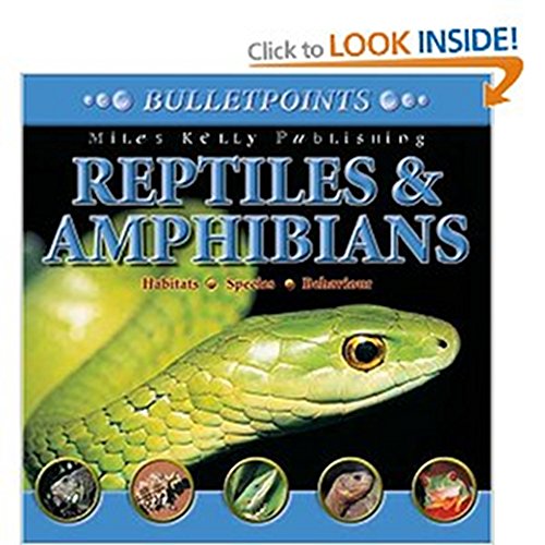 Stock image for Bulletpoints : Reptiles and Amphibians for sale by Better World Books