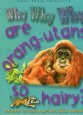 Beispielbild fr Are Orang Utans so hairy (Why Why Why) zum Verkauf von AwesomeBooks