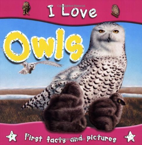 Stock image for I Love Owls for sale by Ergodebooks