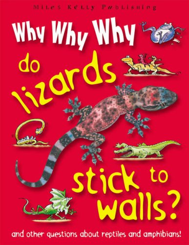 Imagen de archivo de Why Why Why Do Lizards Stick to Walls? a la venta por WorldofBooks