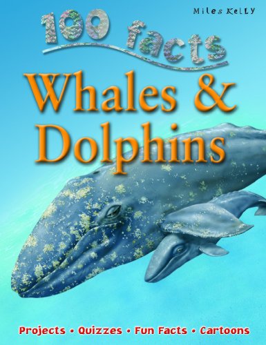 Beispielbild fr Whales & Dolphins (100 Facts) (100 Facts On.) zum Verkauf von Wonder Book